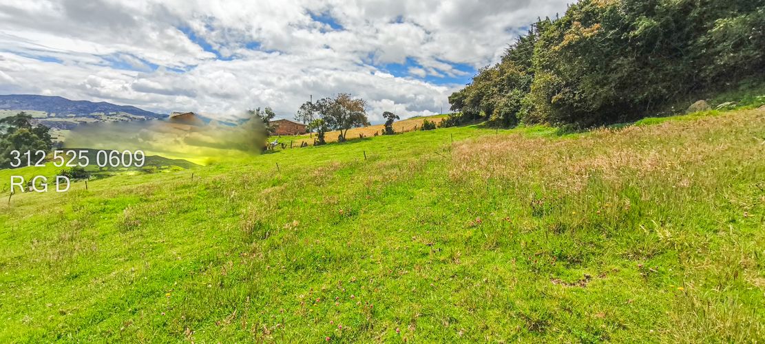 Finca en Venta - Miniatura 10