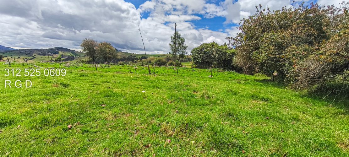 Finca en Venta - Miniatura 11