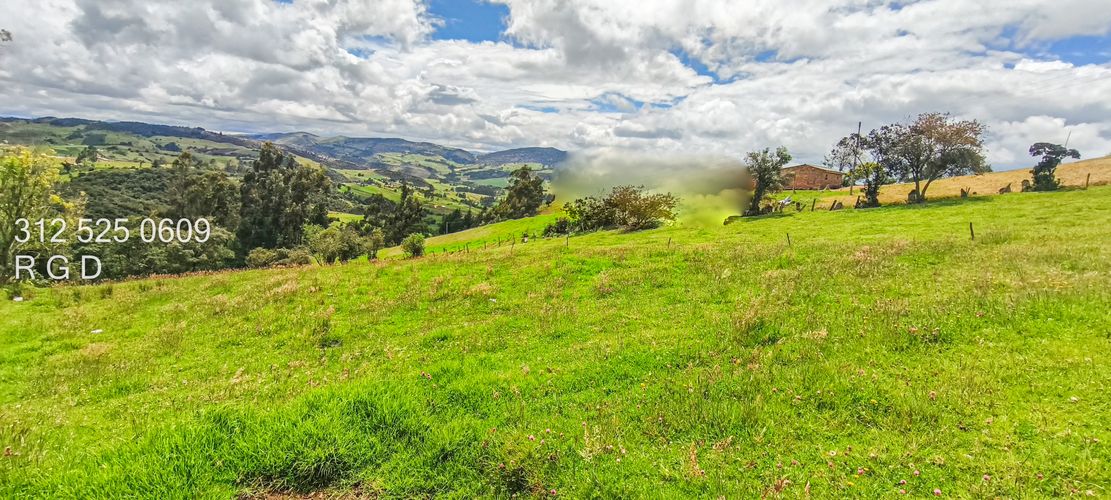 Finca en Venta - Miniatura 12