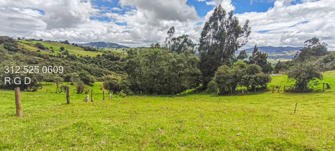 Finca en Venta - Miniatura 14