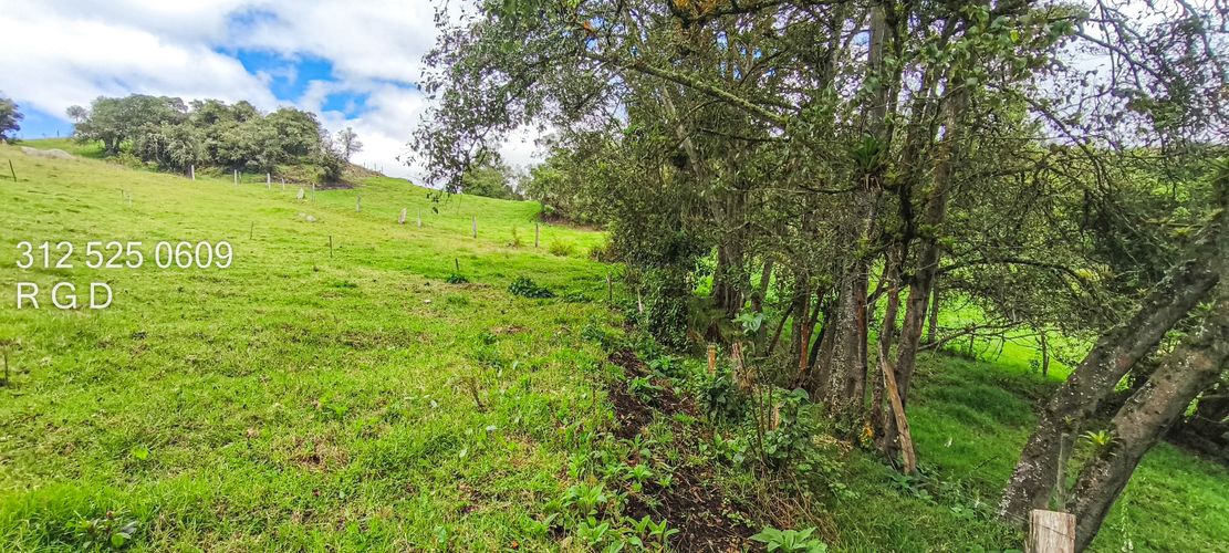Finca en Venta - Miniatura 15