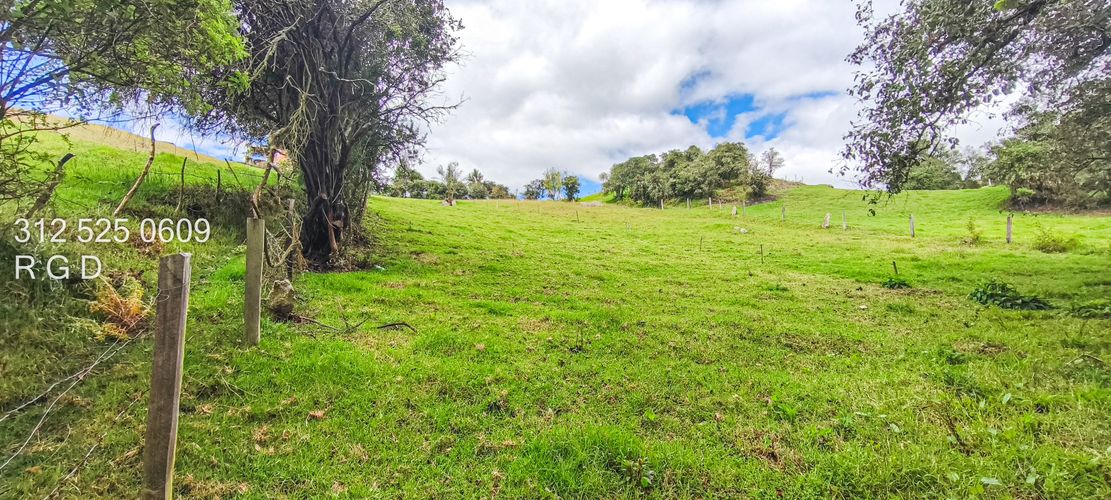 Finca en Venta - Miniatura 16