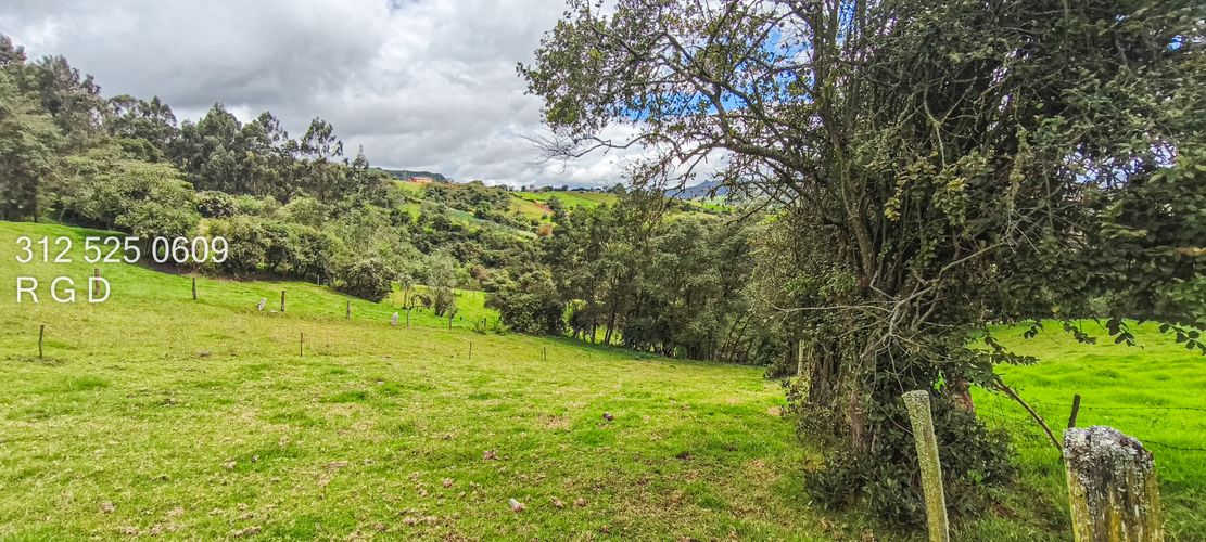 Finca en Venta - Miniatura 17