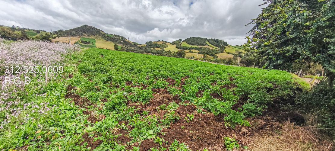 Finca en Venta - Miniatura 18