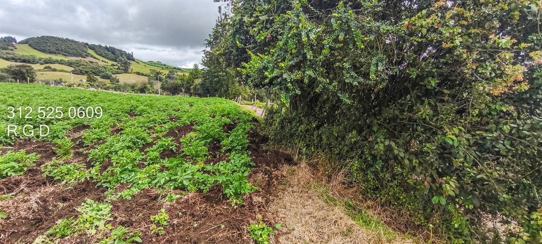 Finca en Venta - Miniatura 19