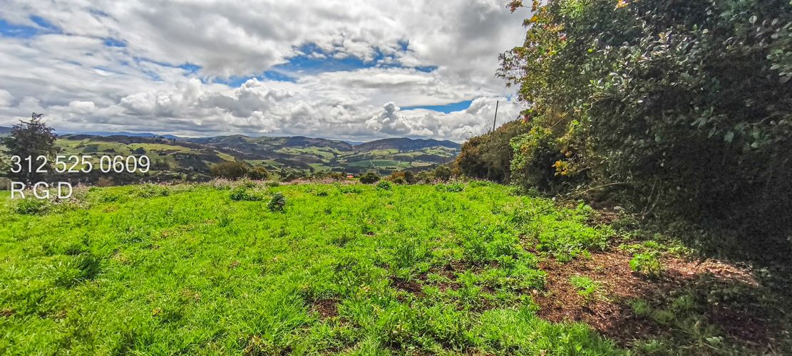 Finca en Venta - Miniatura 21