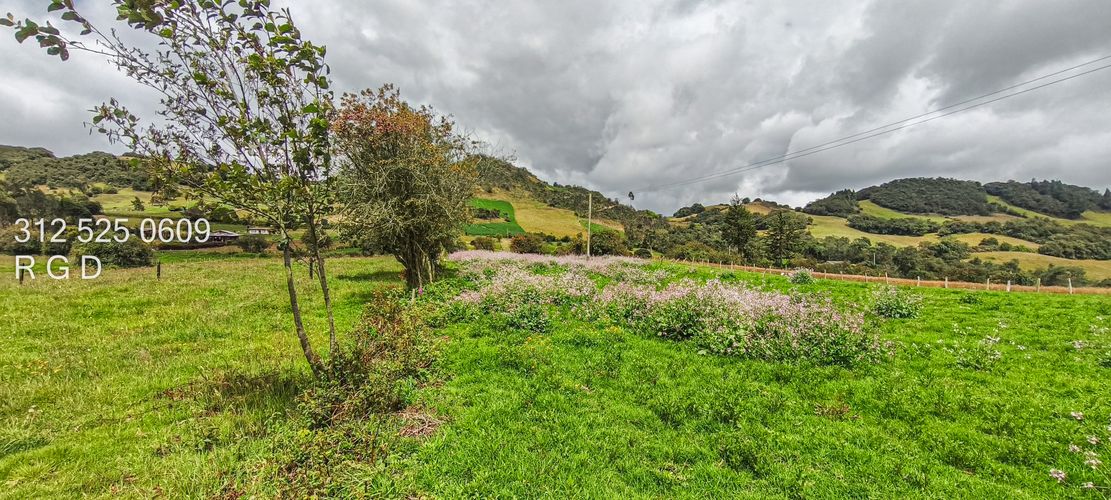 Finca en Venta - Miniatura 22