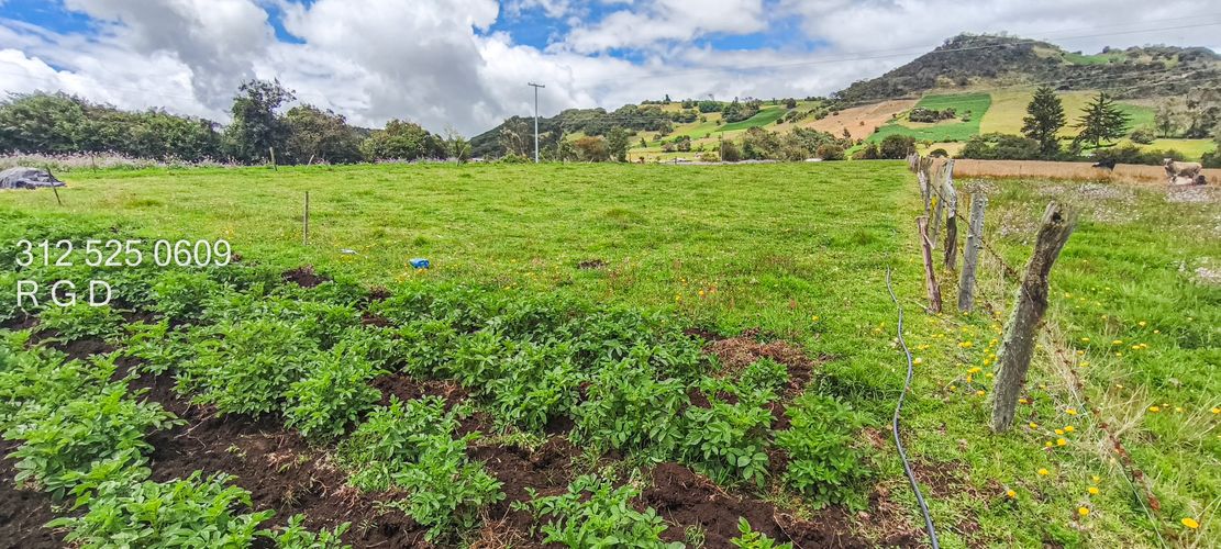 Finca en Venta - Miniatura 24