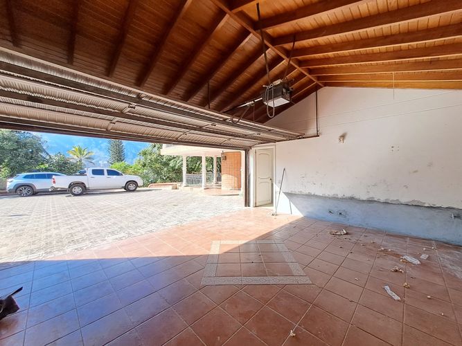 Finca en Arriendo en Madera, Bello - Miniatura 12