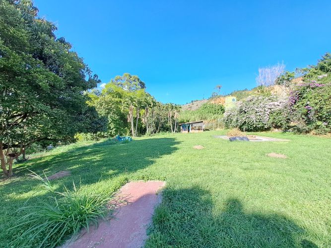 Finca en Arriendo en Madera, Bello - Miniatura 22
