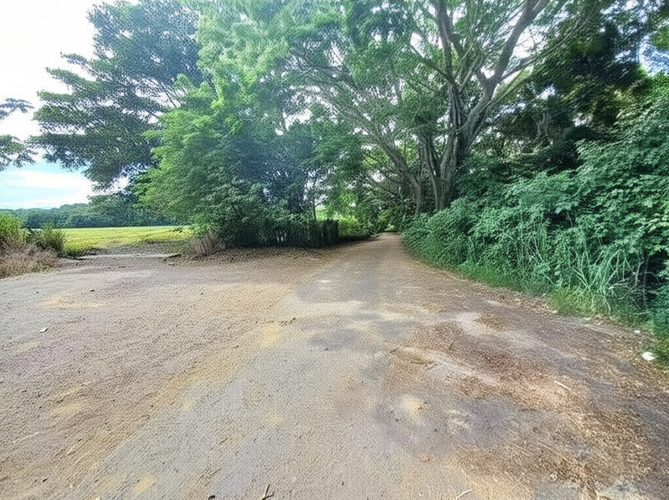 Finca en Venta - Miniatura 3