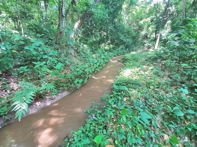 Finca en Venta - Miniatura 11