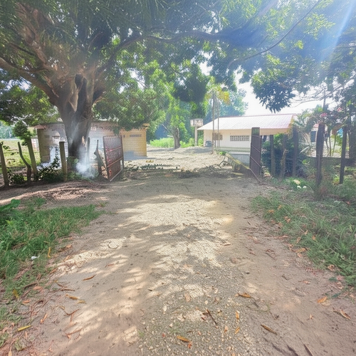 Finca en Venta - Miniatura 3