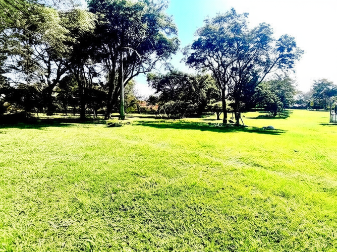 Finca en Venta - Miniatura 4