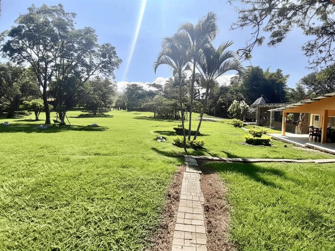 Finca en Venta - Miniatura 6