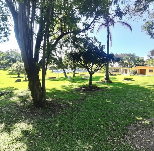 Finca en Venta - Miniatura 9
