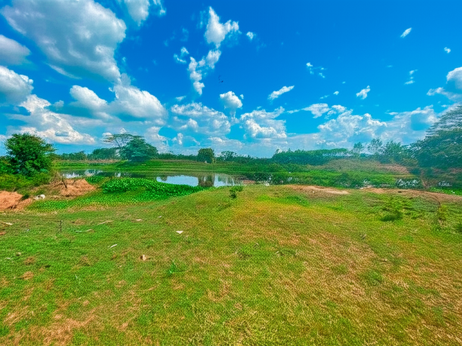 Finca en Venta - Miniatura 2