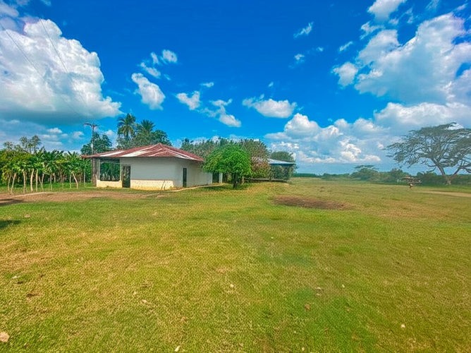 Finca en Venta - Miniatura 6