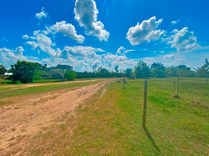 Finca en Venta - Miniatura 8