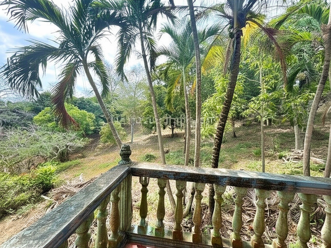 Finca en Venta - Miniatura 5