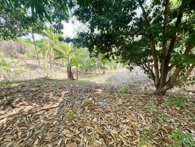 Finca en Venta - Miniatura 7