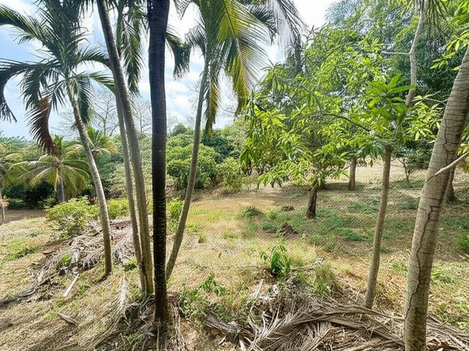 Finca en Venta - Miniatura 8