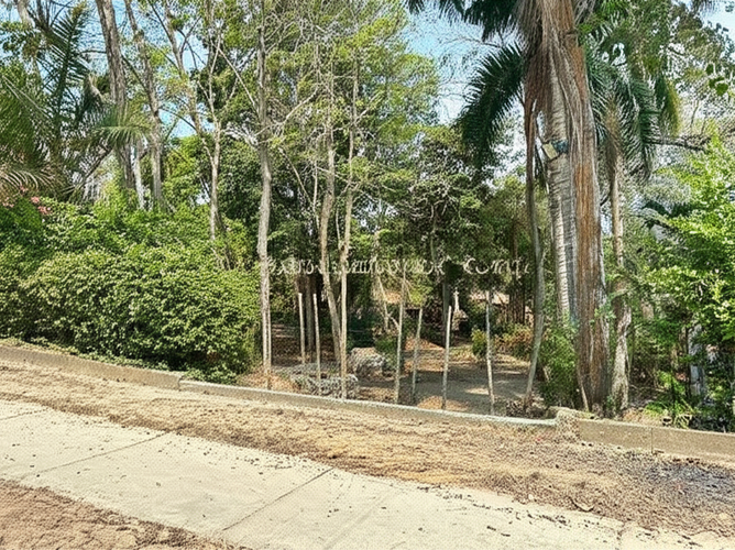 Finca en Venta - Miniatura 9