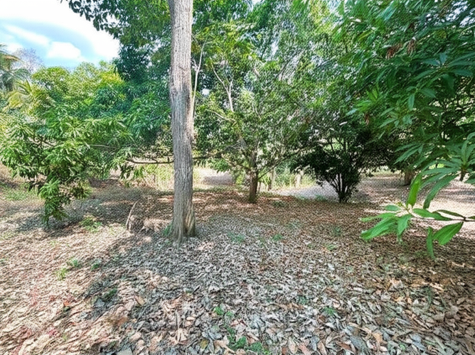 Finca en Venta - Miniatura 10