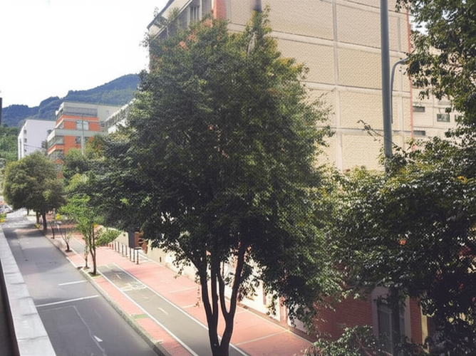Local en Venta en Alta Blanca, Bogotá - Miniatura 7
