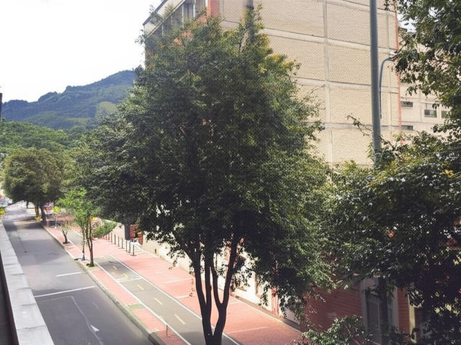 Local en Venta en Alta Blanca, Bogotá - Miniatura 6
