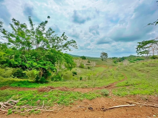 Finca en Venta - Imagen 1