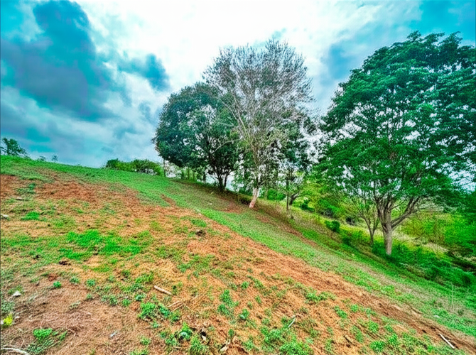Finca en Venta - Miniatura 4