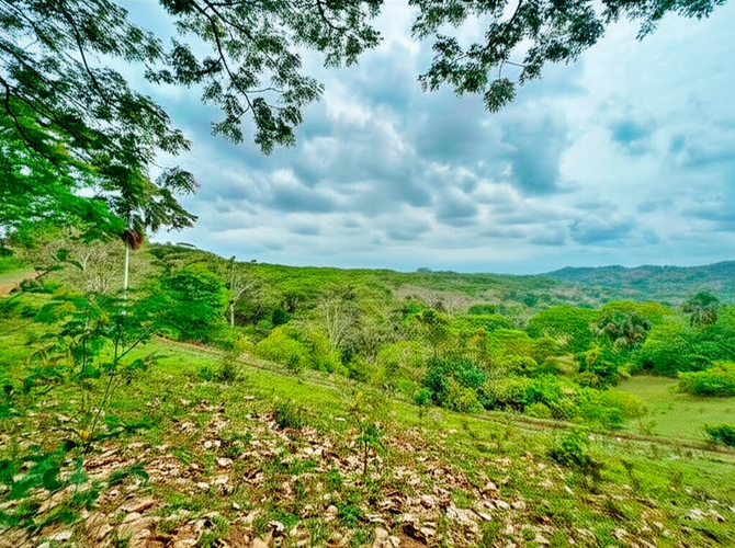 Finca en Venta - Miniatura 5