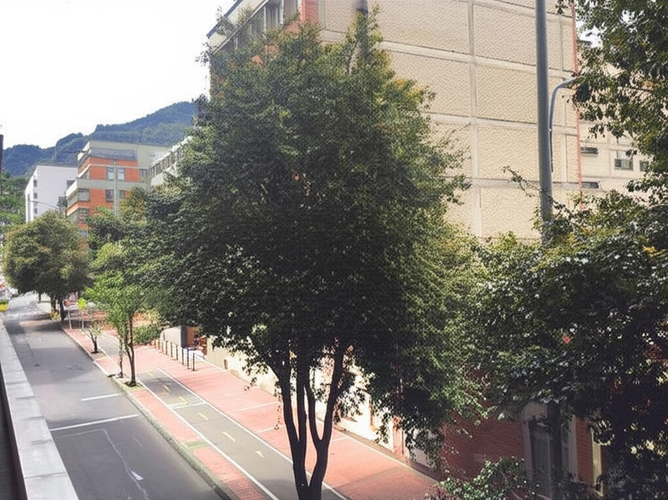 Local en Venta en Alta Blanca, Bogotá - Miniatura 6