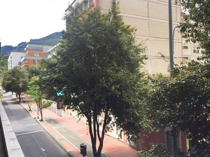 Local en Venta en Alta Blanca, Bogotá - Miniatura 9