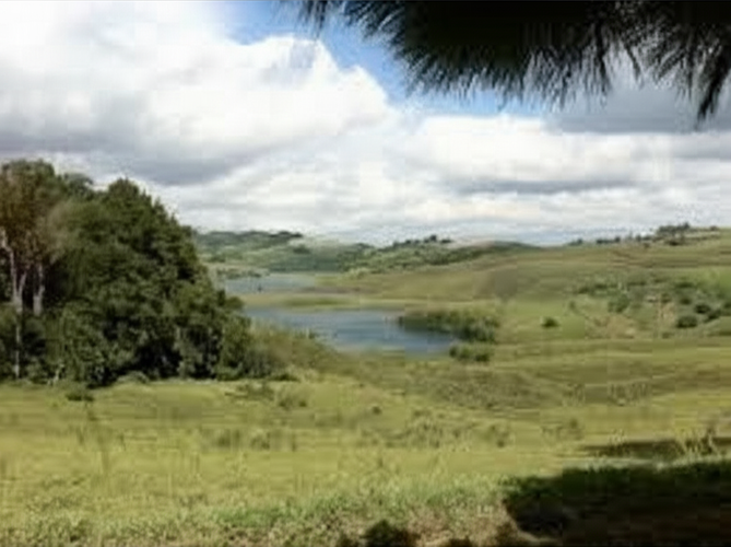 Finca en Venta - Miniatura 3