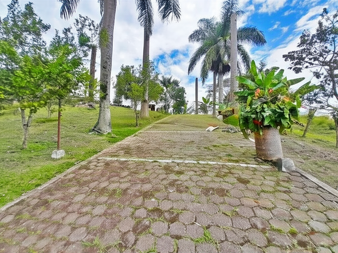 Finca en Venta - Miniatura 7