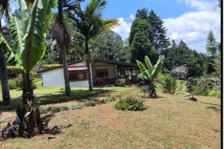 Finca en Venta en La hondita, Guarne - Miniatura 3