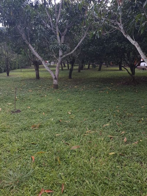 Finca en Venta en Anapoima - Miniatura 5