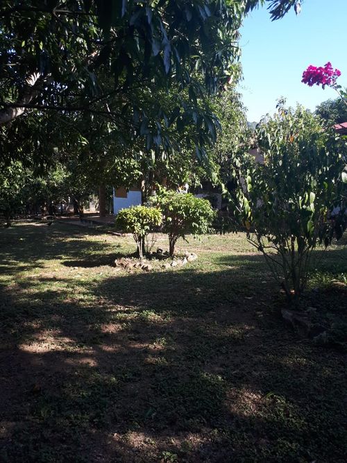 Finca en Venta en Anapoima - Miniatura 17