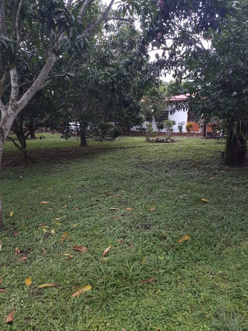 Finca en Venta en Anapoima - Miniatura 20