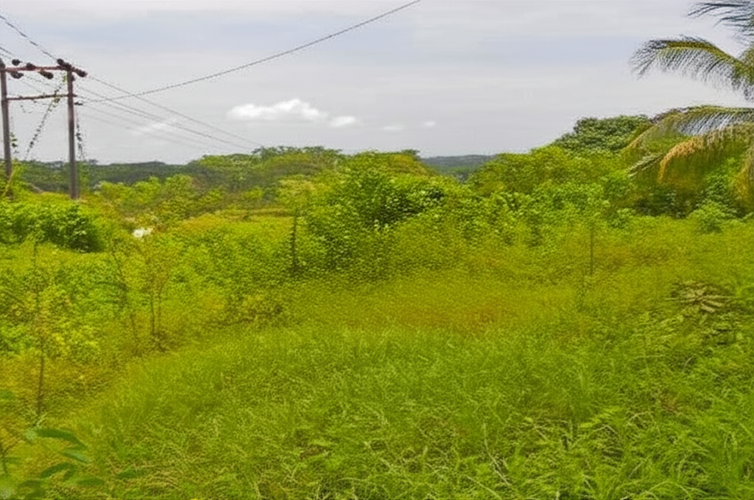 Finca en Venta - Miniatura 2
