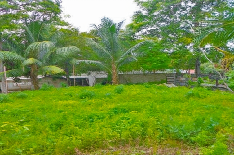 Finca en Venta - Miniatura 6