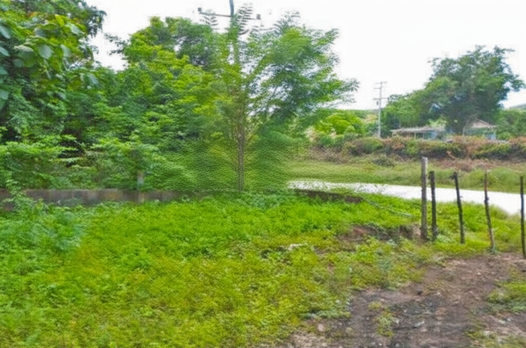 Finca en Venta - Miniatura 7