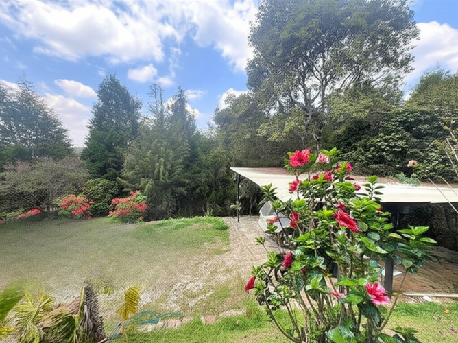 Finca en Venta - Miniatura 17
