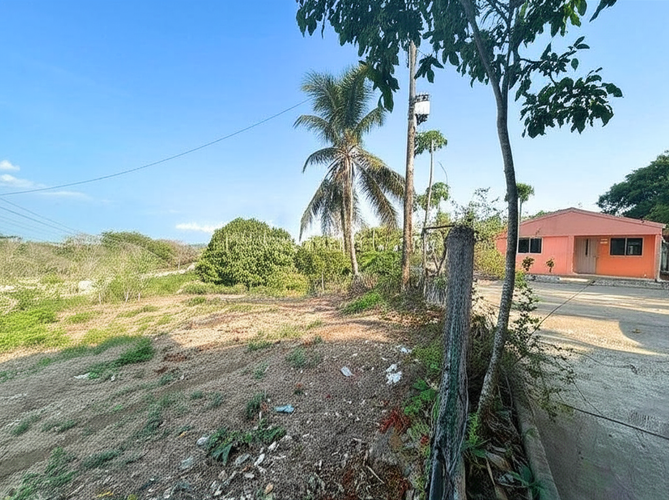 Finca en Venta en Hato nuevo, Corozal - Miniatura 2