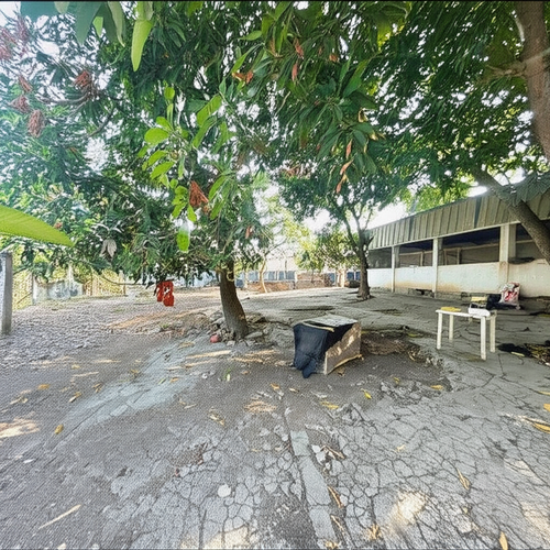 Finca en Venta en Hato nuevo, Corozal - Miniatura 5