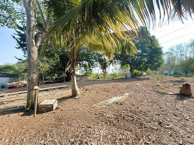 Finca en Venta en Hato nuevo, Corozal - Miniatura 6