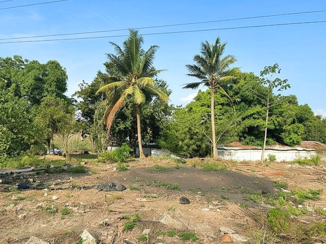 Finca en Venta en Hato nuevo, Corozal - Miniatura 8
