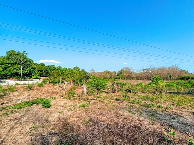 Finca en Venta en Hato nuevo, Corozal - Miniatura 9